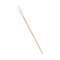Cotton Tipped Wood Applicators 6" – Box of 1000
